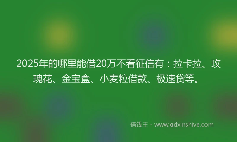 2025年的哪里能借20万不看征信有：拉卡拉、玫瑰花、金宝盒、小麦粒借款、极速贷等。