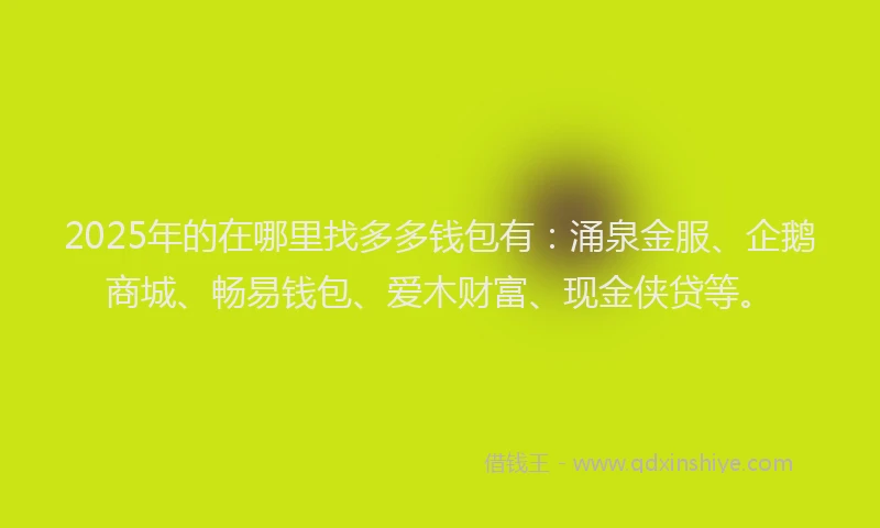 2025年的在哪里找多多钱包有：涌泉金服、企鹅商城、畅易钱包、爱木财富、现金侠贷等。