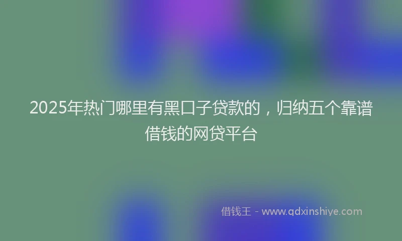 2025年热门哪里有黑口子贷款的，归纳五个靠谱借钱的网贷平台