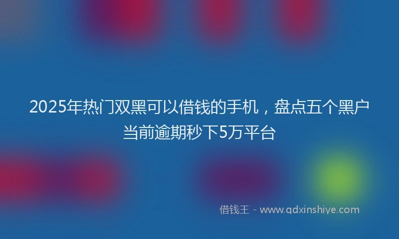 2025年热门双黑可以借钱的手机，盘点五个黑户当前逾期秒下5万平台
