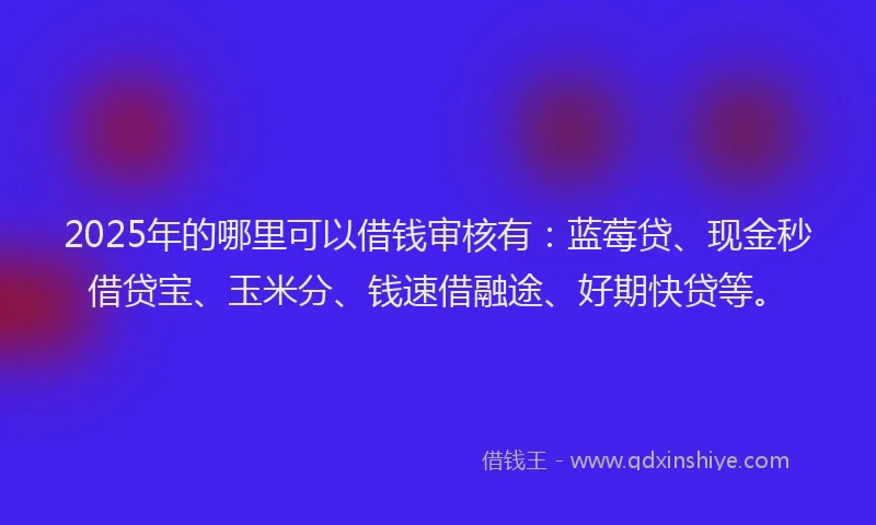 2025年的哪里可以借钱审核有：蓝莓贷、现金秒借贷宝、玉米分、钱速借融途、好期快贷等。