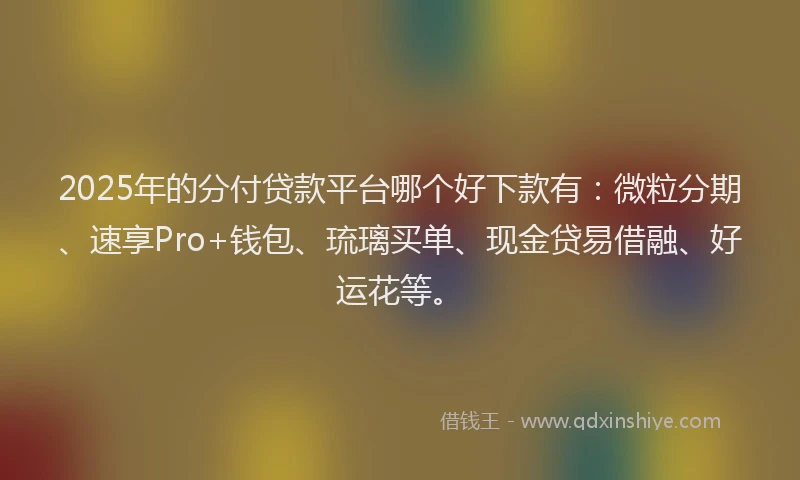 2025年的分付贷款平台哪个好下款有：微粒分期、速享Pro+钱包、琉璃买单、现金贷易借融、好运花等。