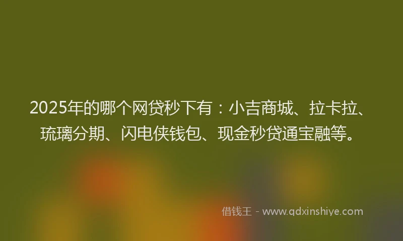 2025年的哪个网贷秒下有：小吉商城、拉卡拉、琉璃分期、闪电侠钱包、现金秒贷通宝融等。