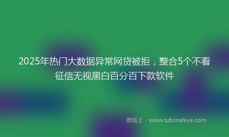 2025年热门大数据异常网贷被拒，整合5个不看征信无视黑白百分百下款软件
