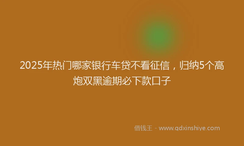 2025年热门哪家银行车贷不看征信，归纳5个高炮双黑逾期必下款口子