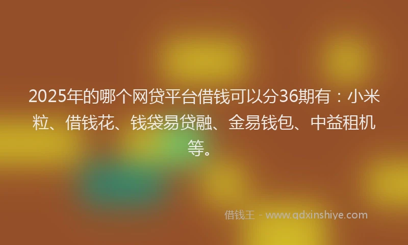 2025年的哪个网贷平台借钱可以分36期有：小米粒、借钱花、钱袋易贷融、金易钱包、中益租机等。