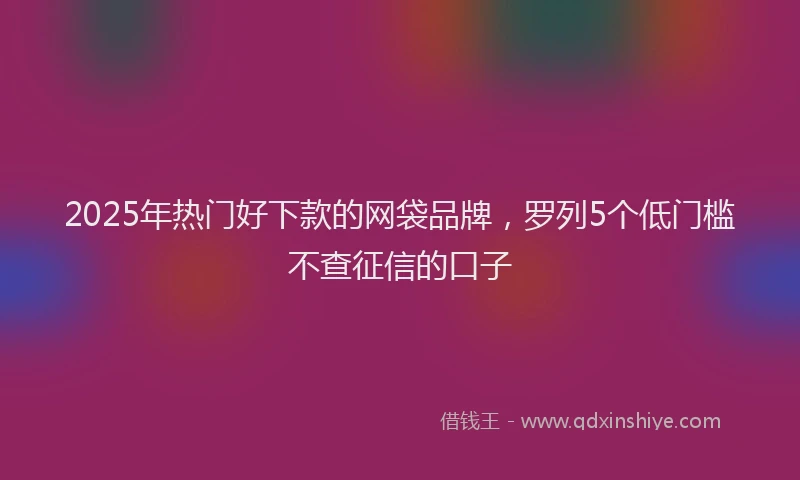 2025年热门好下款的网袋品牌，罗列5个低门槛不查征信的口子