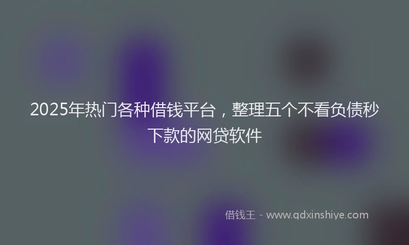 2025年热门各种借钱平台，整理五个不看负债秒下款的网贷软件