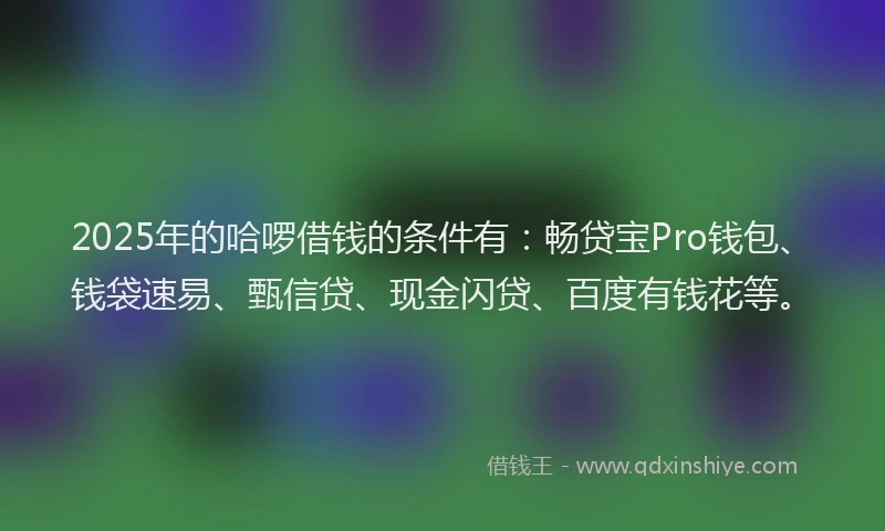 2025年的哈啰借钱的条件有：畅贷宝Pro钱包、钱袋速易、甄信贷、现金闪贷、百度有钱花等。