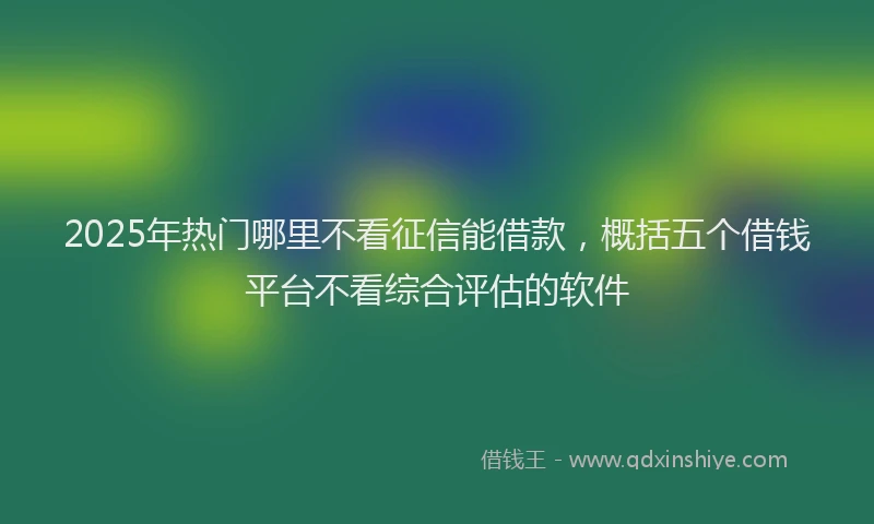 2025年热门哪里不看征信能借款，概括五个借钱平台不看综合评估的软件