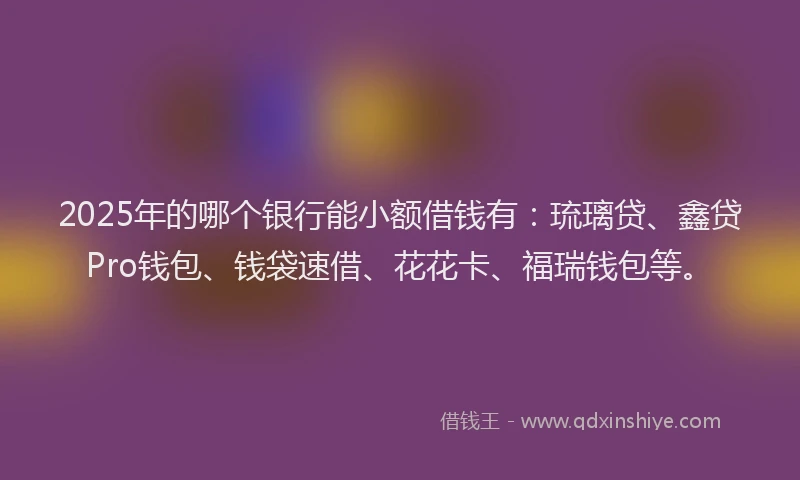 2025年的哪个银行能小额借钱有：琉璃贷、鑫贷Pro钱包、钱袋速借、花花卡、福瑞钱包等。