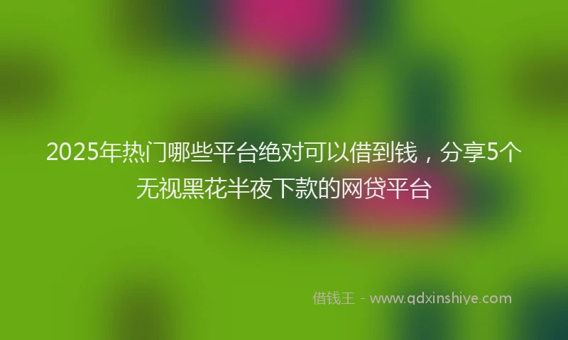 2025年热门哪些平台绝对可以借到钱，分享5个无视黑花半夜下款的网贷平台