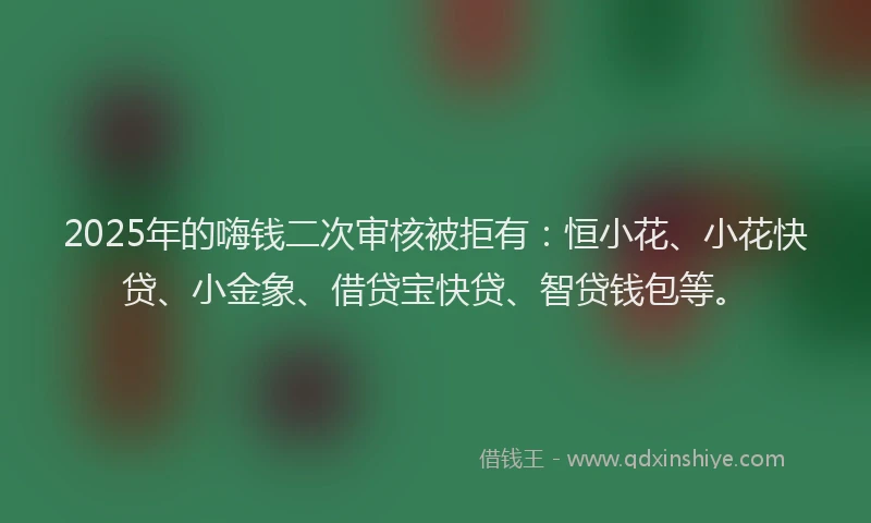 2025年的嗨钱二次审核被拒有：恒小花、小花快贷、小金象、借贷宝快贷、智贷钱包等。