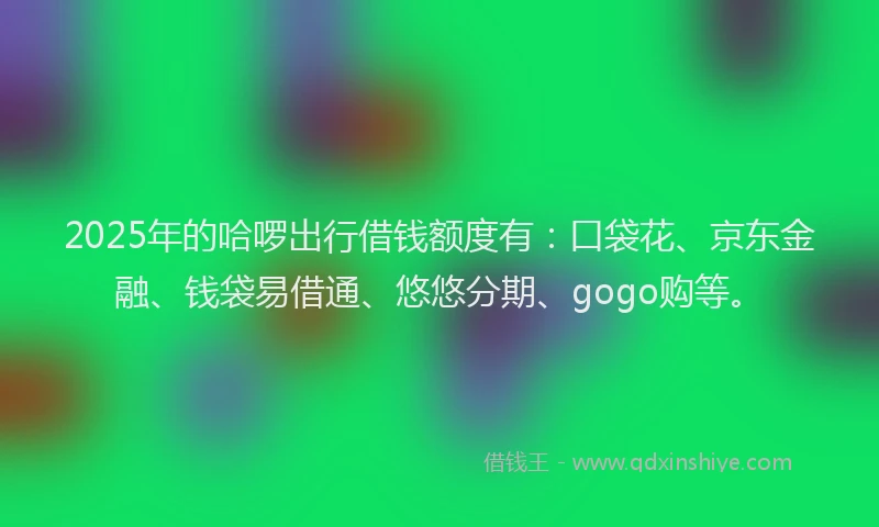 2025年的哈啰出行借钱额度有：口袋花、京东金融、钱袋易借通、悠悠分期、gogo购等。
