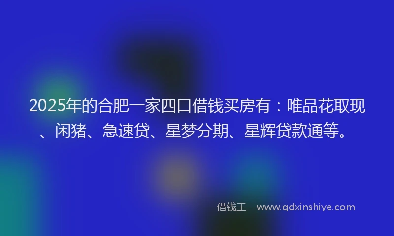 2025年的合肥一家四口借钱买房有：唯品花取现、闲猪、急速贷、星梦分期、星辉贷款通等。