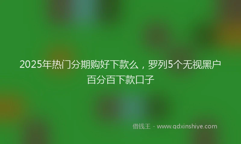 2025年热门分期购好下款么，罗列5个无视黑户百分百下款口子