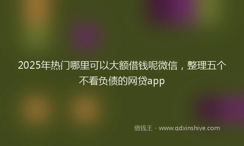 2025年热门哪里可以大额借钱呢微信，整理五个不看负债的网贷app