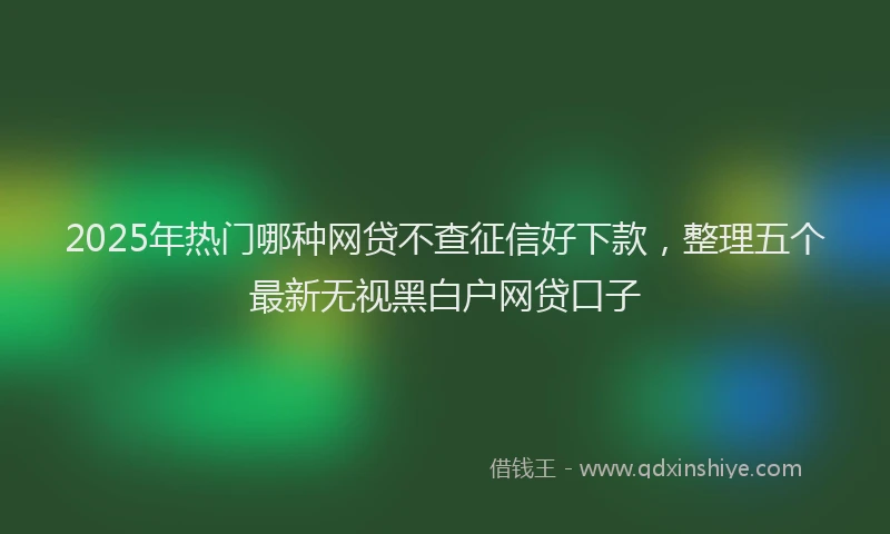 2025年热门哪种网贷不查征信好下款，整理五个最新无视黑白户网贷口子