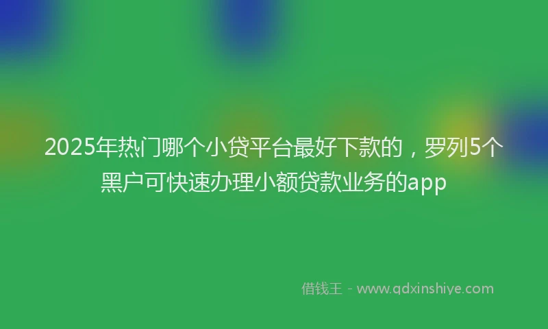 2025年热门哪个小贷平台最好下款的，罗列5个黑户可快速办理小额贷款业务的app