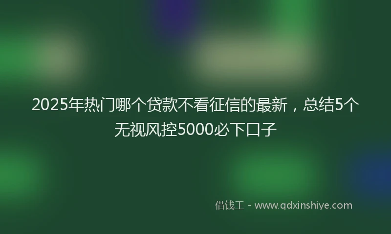 2025年热门哪个贷款不看征信的最新，总结5个无视风控5000必下口子