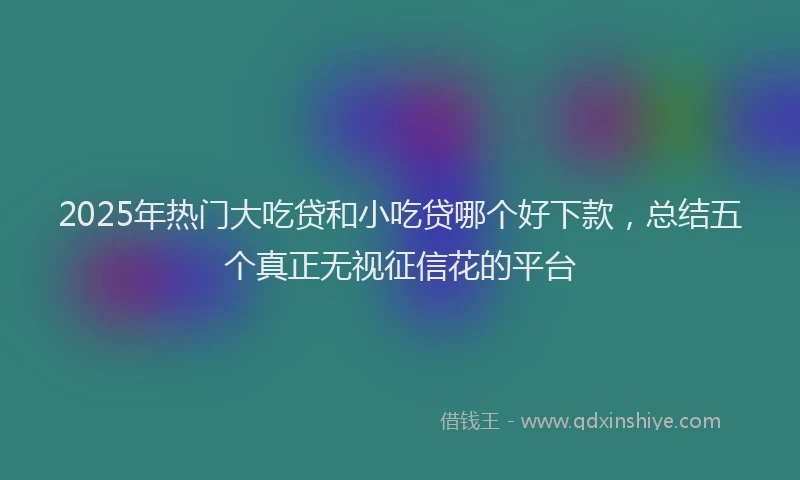 2025年热门大吃贷和小吃贷哪个好下款，总结五个真正无视征信花的平台