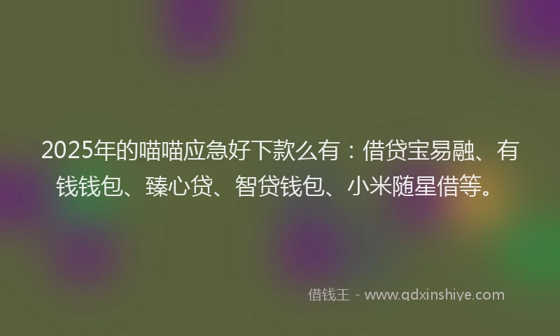 2025年的喵喵应急好下款么有：借贷宝易融、有钱钱包、臻心贷、智贷钱包、小米随星借等。
