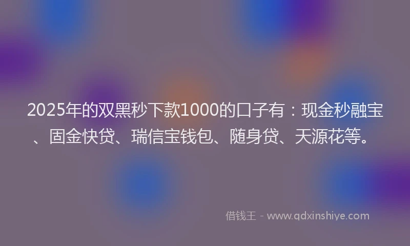 2025年的双黑秒下款1000的口子有：现金秒融宝、固金快贷、瑞信宝钱包、随身贷、天源花等。
