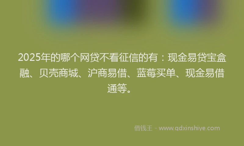 2025年的哪个网贷不看征信的有：现金易贷宝盒融、贝壳商城、沪商易借、蓝莓买单、现金易借通等。