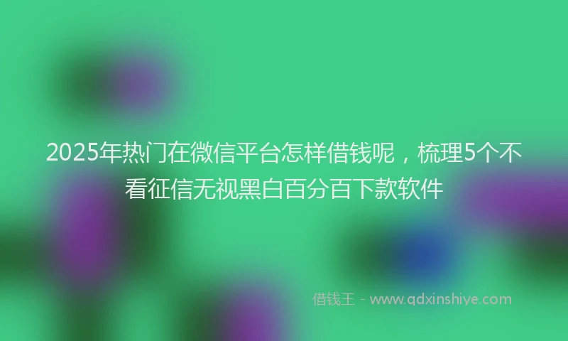 2025年热门在微信平台怎样借钱呢，梳理5个不看征信无视黑白百分百下款软件