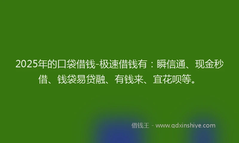 2025年的口袋借钱-极速借钱有：瞬信通、现金秒借、钱袋易贷融、有钱来、宜花呗等。