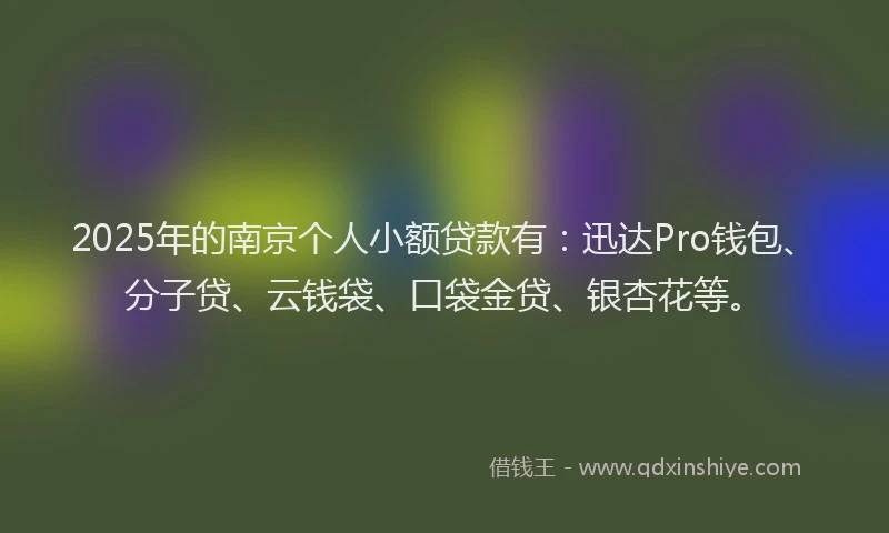 2025年的南京个人小额贷款有：迅达Pro钱包、分子贷、云钱袋、口袋金贷、银杏花等。