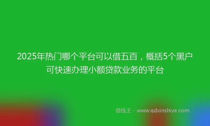 2025年热门哪个平台可以借五百，概括5个黑户可快速办理小额贷款业务的平台