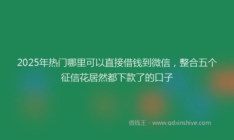 2025年热门哪里可以直接借钱到微信，整合五个征信花居然都下款了的口子