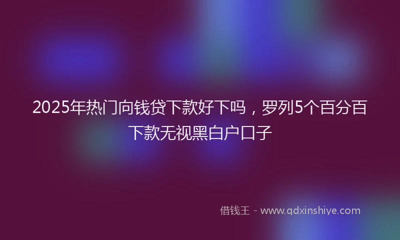 2025年热门向钱贷下款好下吗，罗列5个百分百下款无视黑白户口子