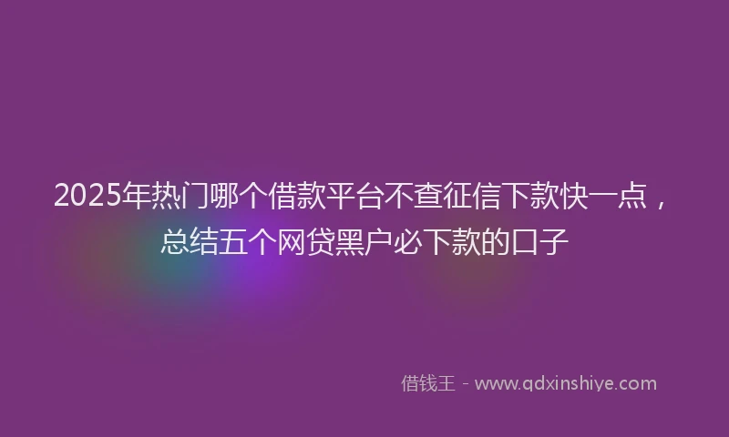 2025年热门哪个借款平台不查征信下款快一点，总结五个网贷黑户必下款的口子