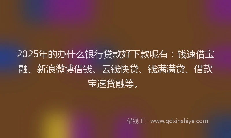 2025年的办什么银行贷款好下款呢有：钱速借宝融、新浪微博借钱、云钱快贷、钱满满贷、借款宝速贷融等。