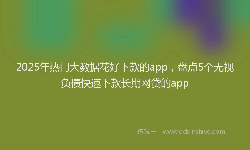 2025年热门大数据花好下款的app，盘点5个无视负债快速下款长期网贷的app