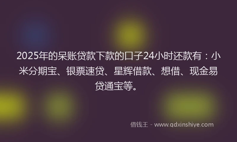 2025年的呆账贷款下款的口子24小时还款有：小米分期宝、银票速贷、星辉借款、想借、现金易贷通宝等。
