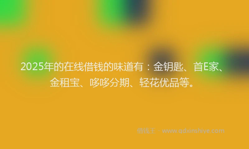 2025年的在线借钱的味道有：金钥匙、首E家、金租宝、哆哆分期、轻花优品等。