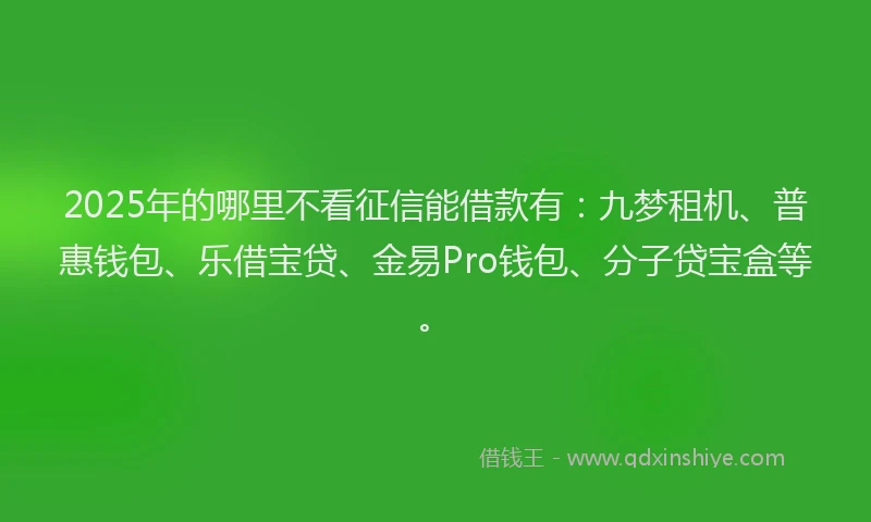 2025年的哪里不看征信能借款有：九梦租机、普惠钱包、乐借宝贷、金易Pro钱包、分子贷宝盒等。