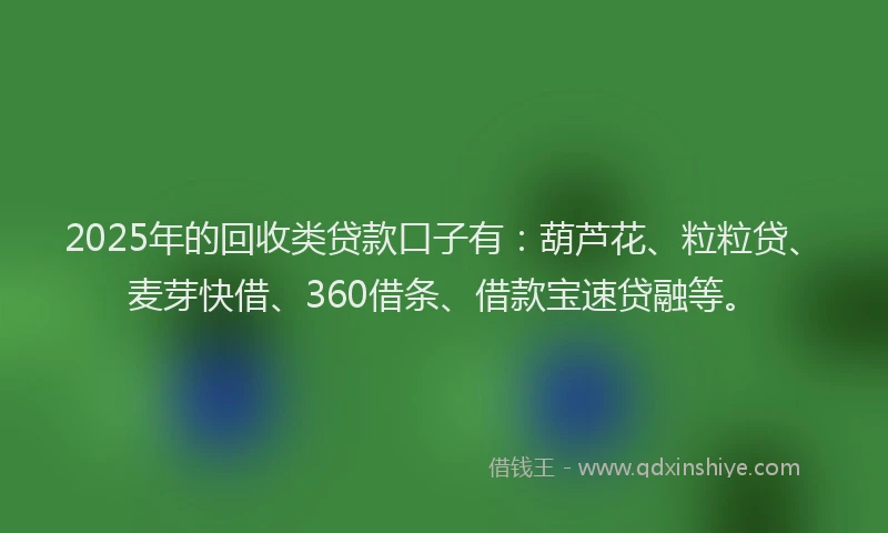 2025年的回收类贷款口子有：葫芦花、粒粒贷、麦芽快借、360借条、借款宝速贷融等。