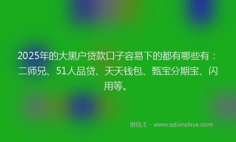 2025年的大黑户贷款口子容易下的都有哪些有：二师兄、51人品贷、天天钱包、甄宝分期宝、闪用等。