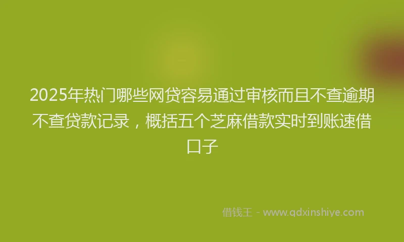 2025年热门哪些网贷容易通过审核而且不查逾期不查贷款记录，概括五个芝麻借款实时到账速借口子