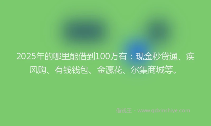 2025年的哪里能借到100万有：现金秒贷通、疾风购、有钱钱包、金瀛花、尔集商城等。