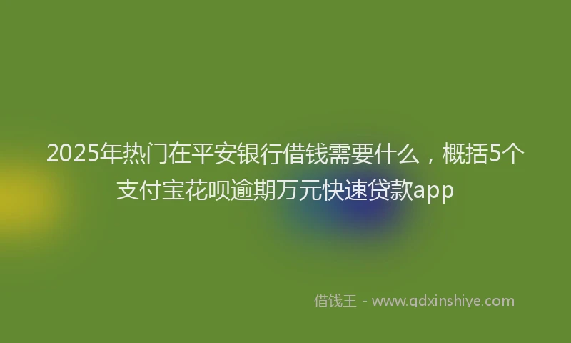 2025年热门在平安银行借钱需要什么，概括5个支付宝花呗逾期万元快速贷款app