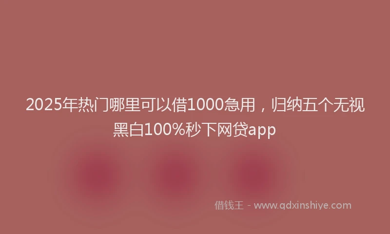 2025年热门哪里可以借1000急用，归纳五个无视黑白100%秒下网贷app