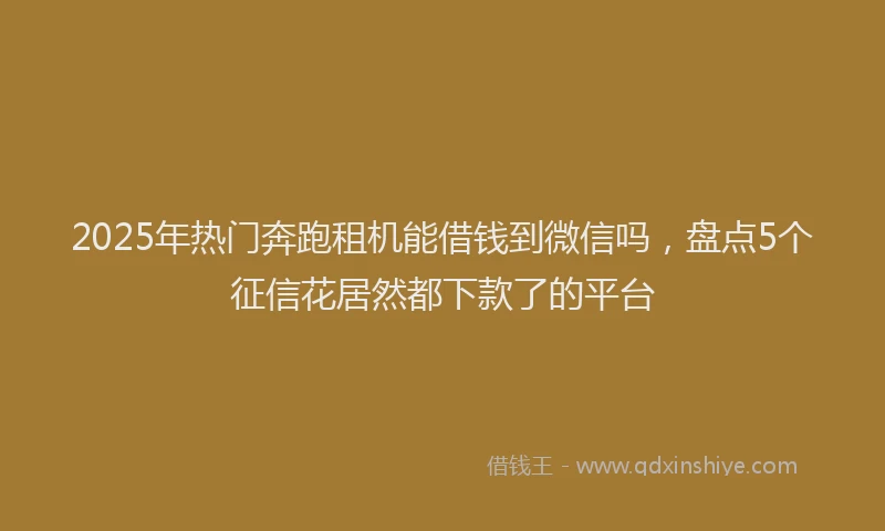 2025年热门奔跑租机能借钱到微信吗，盘点5个征信花居然都下款了的平台