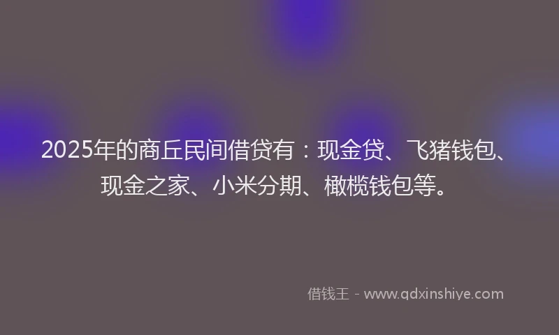 2025年的商丘民间借贷有：现金贷、飞猪钱包、现金之家、小米分期、橄榄钱包等。