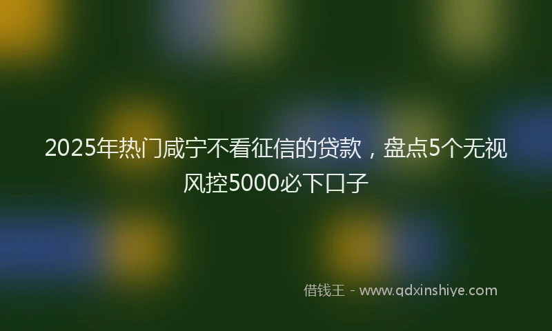 2025年热门咸宁不看征信的贷款，盘点5个无视风控5000必下口子