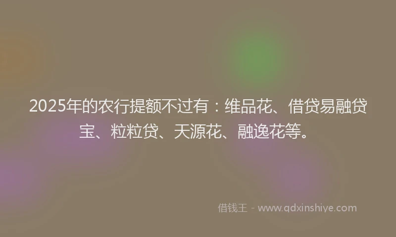 2025年的农行提额不过有：维品花、借贷易融贷宝、粒粒贷、天源花、融逸花等。
